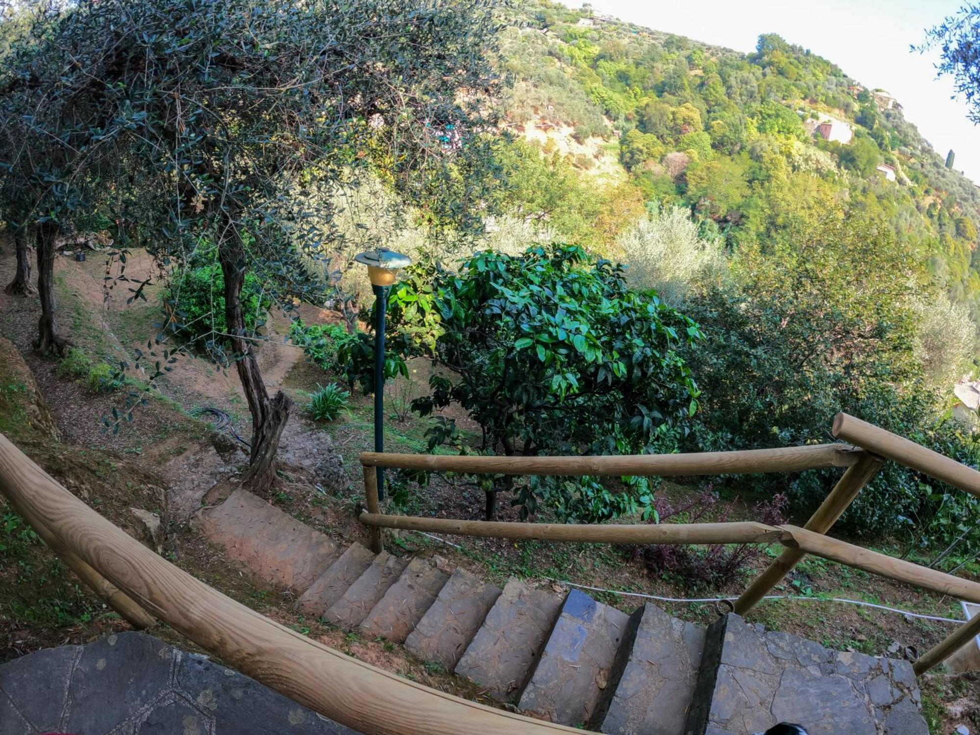 B&B Πορτοφίνο Εξωτερικό φωτογραφία